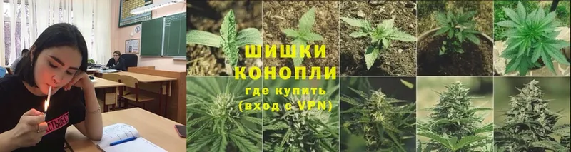 Шишки марихуана THC 21%  hydra как зайти  Руза  закладки 